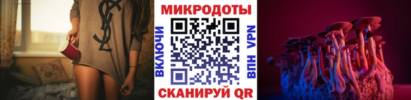 даркнет сайт Касимов Псилоцибиновые грибы прущие грибы