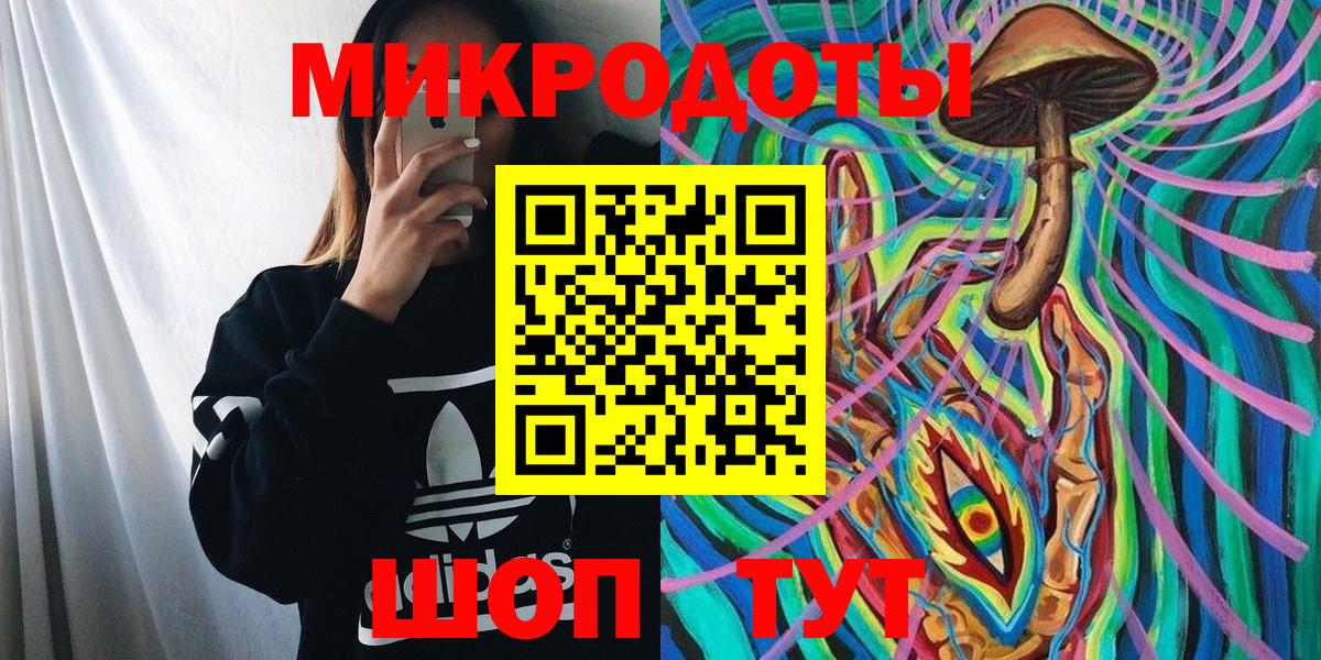 Галлюциногенные грибы Cubensis Касимов