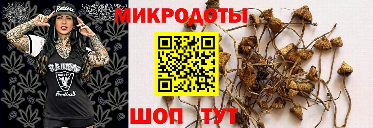 Псилоцибиновые грибы ЛСД  Вход с VPN  Касимов 